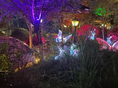 -麦积山温泉