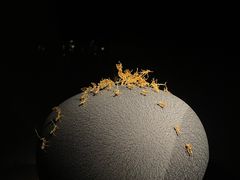 -深圳珠宝博物馆
