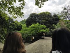 -南山植物园
