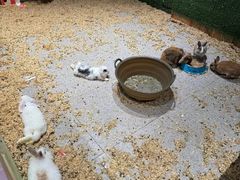 -北京华联合肥长江西路购物中心