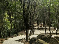 -火炉山森林公园