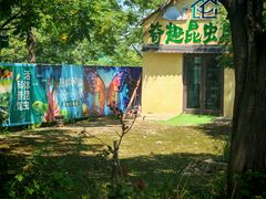 -泗洪洪泽湖湿地景区