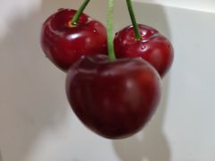 -世纪联华(吴淞店)