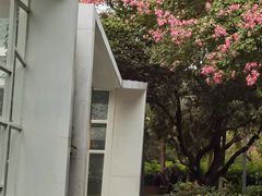 -四海公园(南山区)