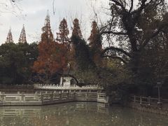 -汇龙潭