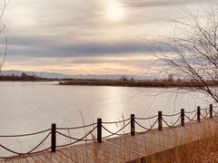 -野鸭湖国家湿地公园