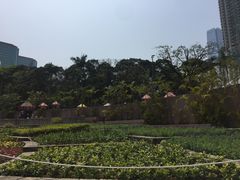 -九龙公园