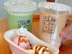 -猫小主咖啡·猫咖cat cafe(福田店)