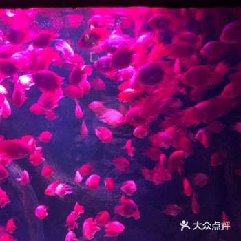 带着孩子一起去玩，小朋友喜欢的不得了哦