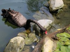 -天毓山庄·餐厅