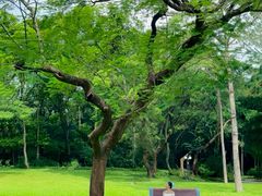 -莲花山公园