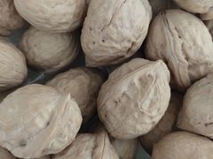 -鲜丰水果(高刘路店)