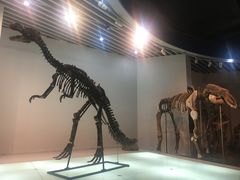 -烟台自然博物馆