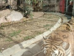 -荆州中山公园动物园