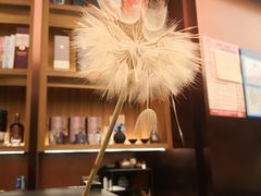 -二酉书店TOYOU BOOKS