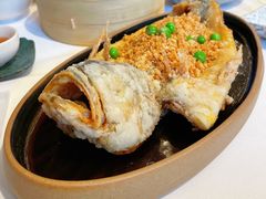-千灯盛汇·头牌粤菜(致越优城店)