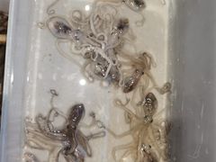 -浙C老邻舍(西城海错店)