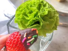 -三迪希尔顿酒店·星空酒廊