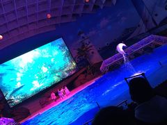 -海合安武汉极地海洋公园