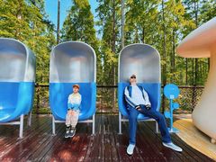 -黄海国家森林公园