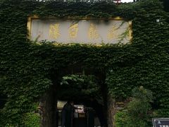 -藏龙百瀑风景区