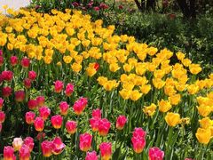 -香山公园-东宫门售票处