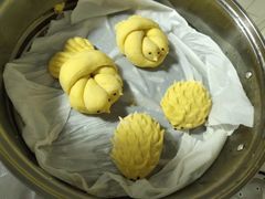 -优护优家Ucare月嫂育儿嫂陪伴师(静安店)