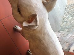 -猪角·闽南猪脚饭(厦门中医院店)