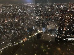 -东京都厅舍
