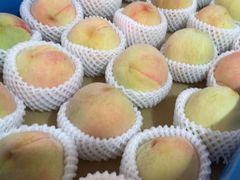 -老袁家蜜桃农场·阳山水蜜桃