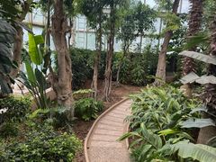 -石家庄市植物园