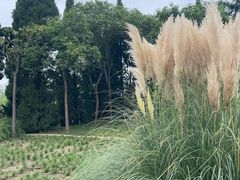 -郑东新区湿地公园