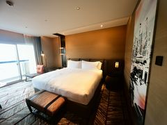 -新加坡瑞士史丹福酒店