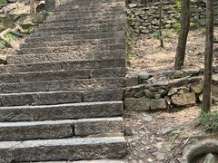 -紫金山山顶公园