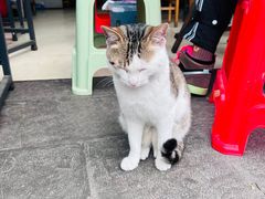 -肇兴特色牛肉粉