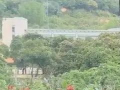 -广东温泉宾馆
