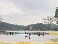 -顺峰山公园