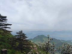 -九华山风景区