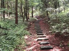 -四明山国家森林公园