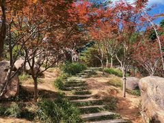 -广州市帽峰山景区