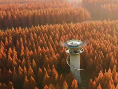 -黄海国家森林公园