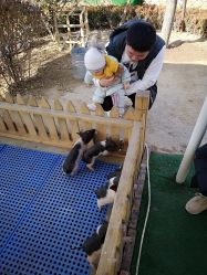 -萌宠亲子动物乐园(槐房万达店)