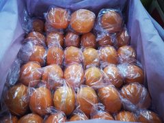 -上海龙吴水胜海发市场