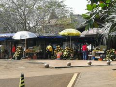 -东寨港红树林旅游区