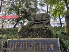 -房湖公园