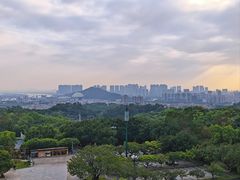 -广州莲花山旅游区