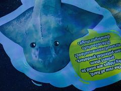 -暹罗海洋世界
