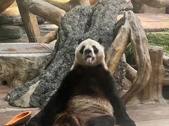 -常州淹城野生动物世界