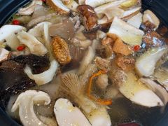 -蘑统田下·野生菌火锅