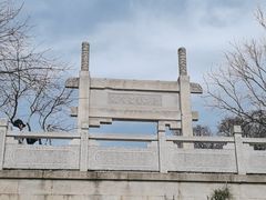 -紫金山山顶公园